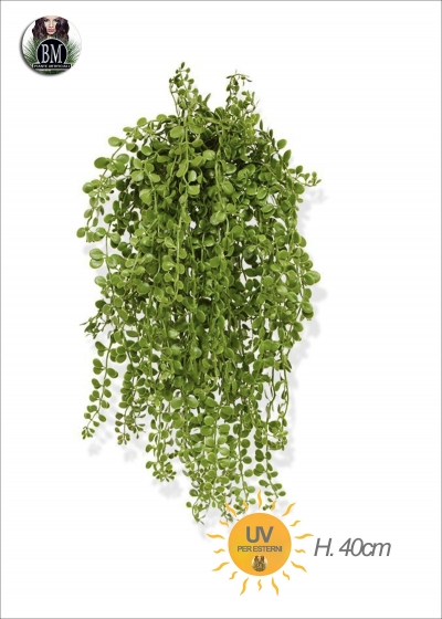 DISCHIDIA Bush Verde Artificiale H.40cm UV Resistant