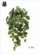 SCINDAPSUS PICTUS Bush Verde Artificiale H.60m