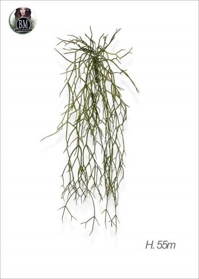 RHIPSALIS MICRANTHA Bush Artificiale H.55cm