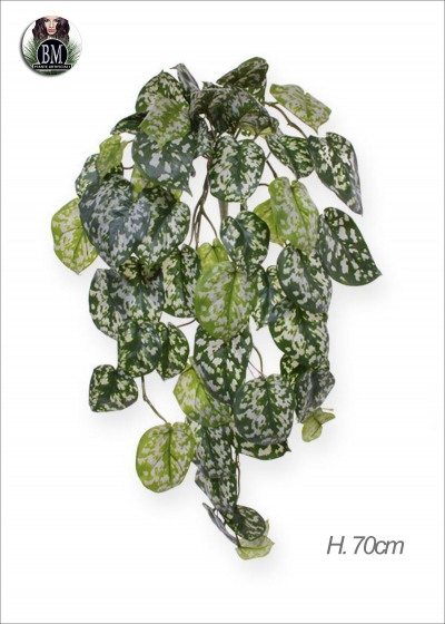 SCINDAPSUS PICTUS Bush Delux Artificiale H.70cm 