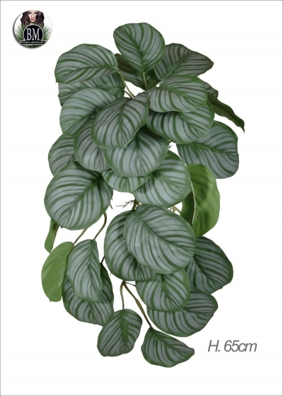 CALATHEA Bush Artificiale H.65cm 