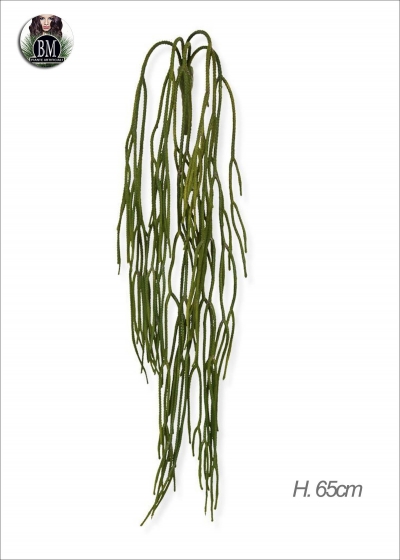 RHIPSALIS PILOCARLA Pensile Artificiale H.65cm 