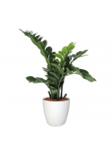 Zamioculcas artificiale 65cm