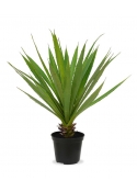 Yucca pianta artificiale 40cm